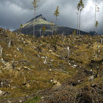 = tatry (takmer) rok po I. =-