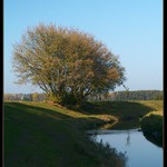<b>** Regulovaná Jičínka **</b>