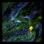 ..variace na téma voda a podzim..