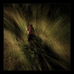 ...hledání cesty...