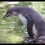 Brrrrr ta dnes studí !