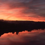 <B>továrna na červánky</B>