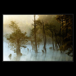 Schizofrenie sobotního rána III.