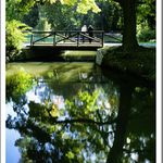 Už zase podzim? II.