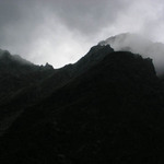 Roháče s nepřívětivou tváří