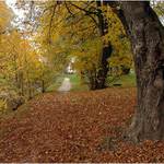 Podzim ve frenštátě p. R.