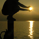 Jeste chvili vydrz...