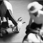 cowboy's dream