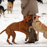 Na cvičáku je fajn