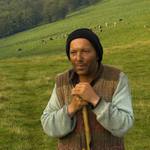 Rumunsko - Munti Vilcan XI.