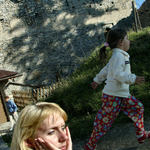 3 vývojové fáze 1 druhu...