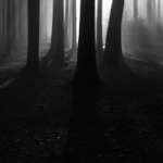 ..stínový pahorek...