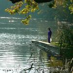 Čekání na labutě