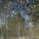 V kraji na vodní hladině...