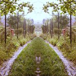 Všechny cesty vedou do