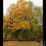 Špičkou štětce malované