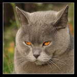 ...a ty mě taky nes*r