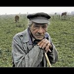 Ej pastieru, pastieru...