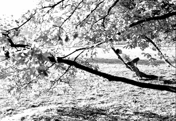 podzim in da park neasi