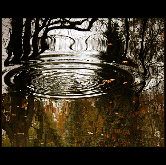 Podzimní zrcadlení II