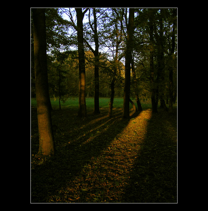 parková II