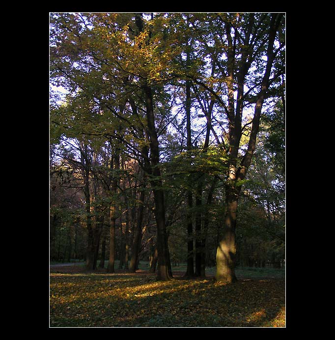 parková III