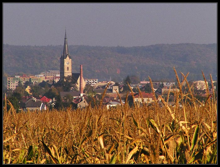 Mohelnice