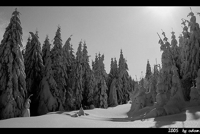 sound of silence