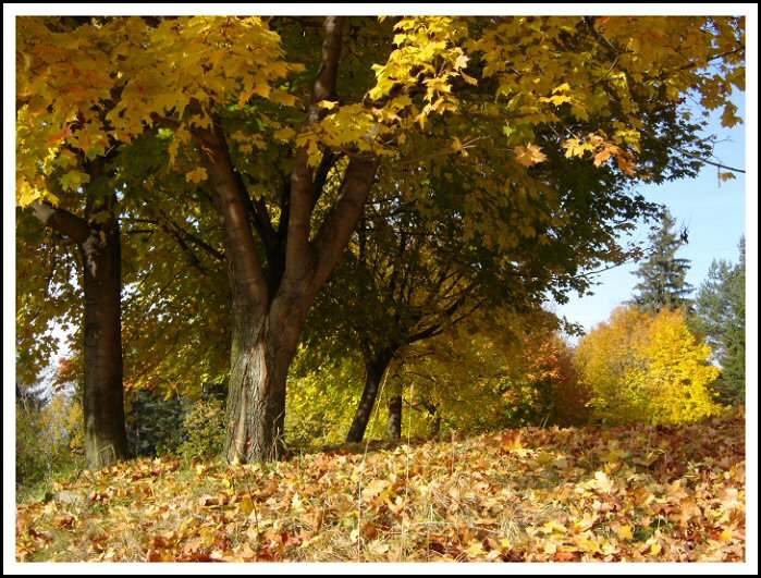 ...pod sukničkou.....