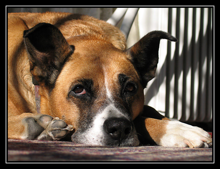 Ty snad chceš jít ještě ven?