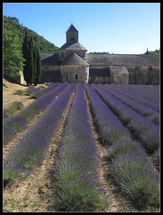 Abbaye de Senanque