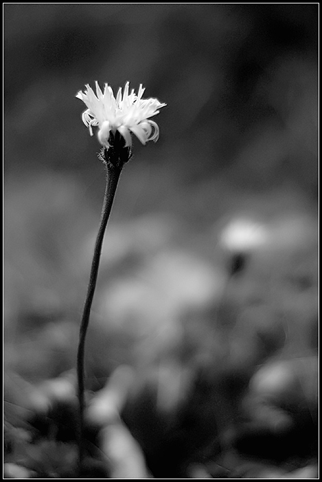 ... pro pocit jistoty ...