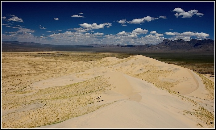 Kelso Dunes..