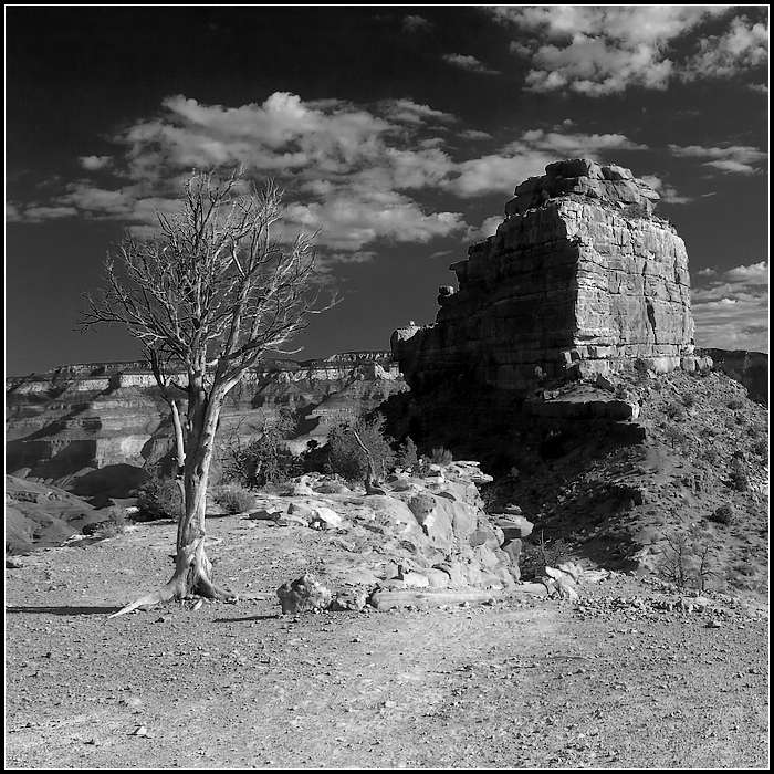 Grand Canyon.. (2)