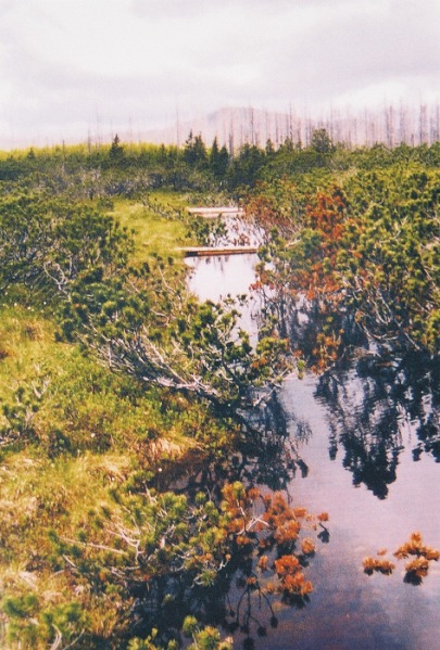 Modrava 01