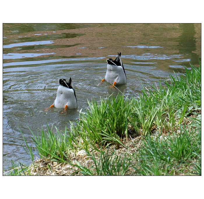 ......vy mě taky.........