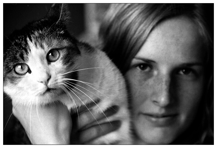 cats