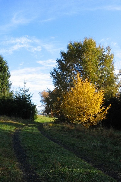 Barvičky