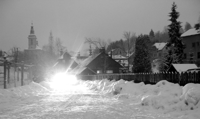 SilvestR