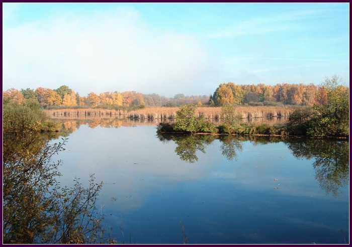 Podzim u rybníka