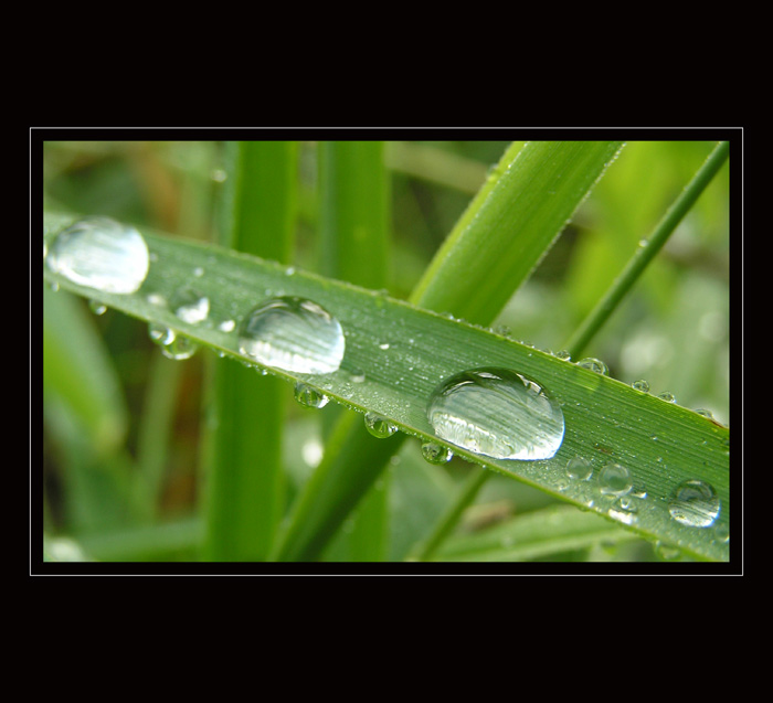 * V řadě za sebou *