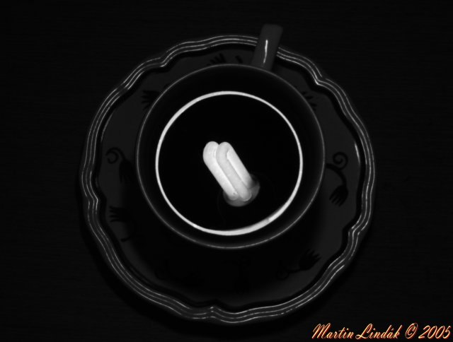 Bulb in tea