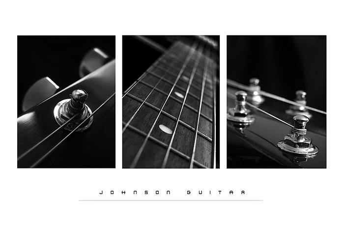 JOHNSON GUITAR