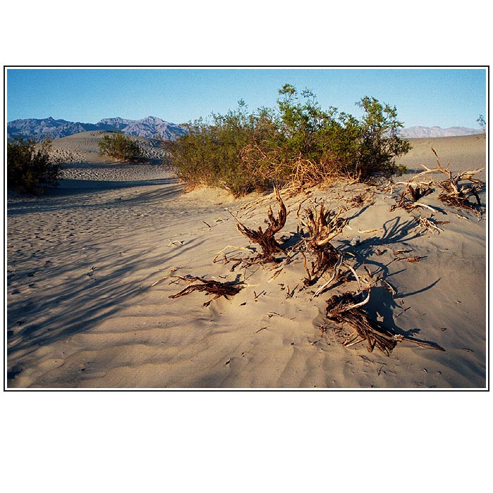 Death Valley III