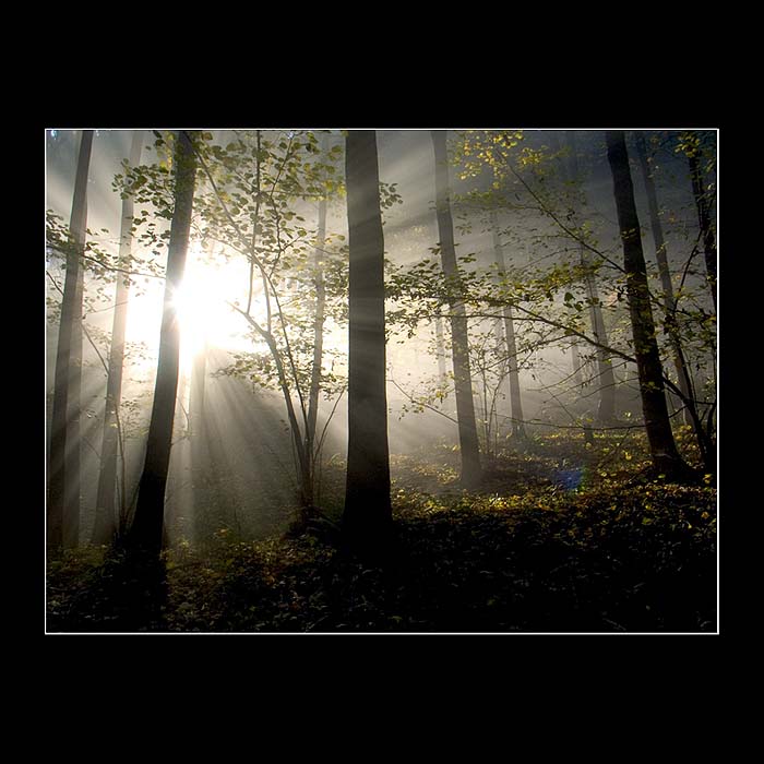 <b>...:::another world II.:::...</b>