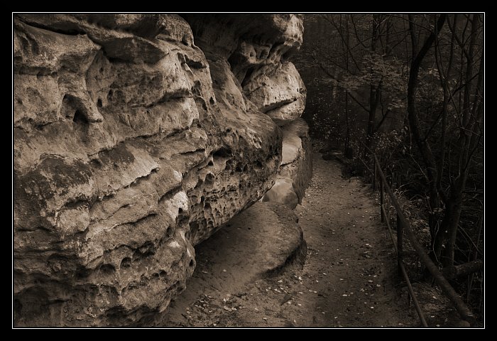 Prachovske skaly