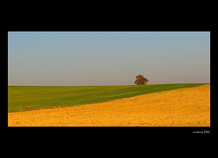 Solitér