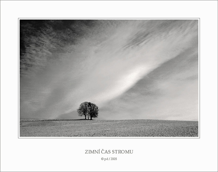 ZIMNÍ ČAS STROMU