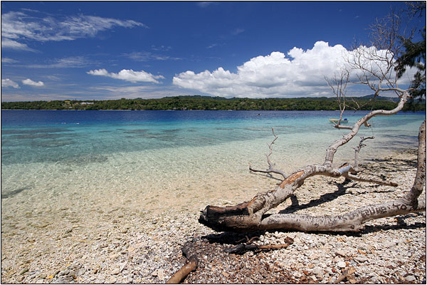 Cruise: Vanuatu, Wala