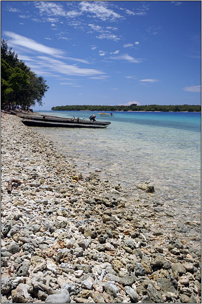 Cruise: Vanuatu, Wala